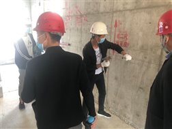 50538ec77c7eca7dc2f26e29fb0d7d0